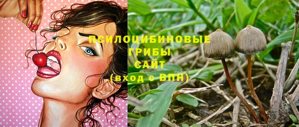дурь Алексин
