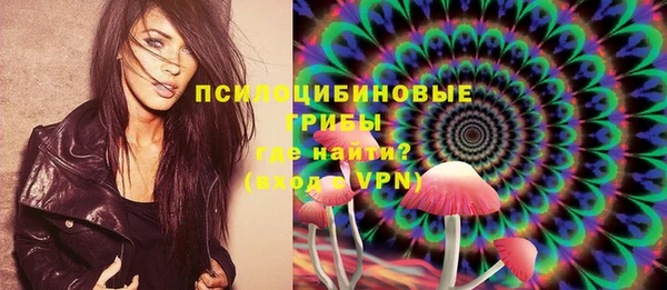 дурь Алексин