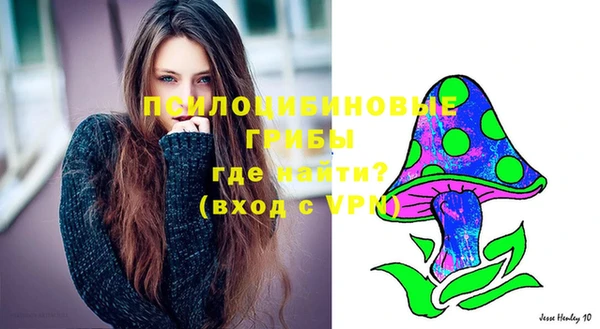 дурь Алексин