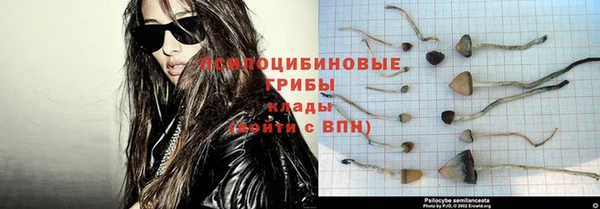 ешки Алексеевка