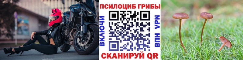 Галлюциногенные грибы прущие грибы  закладка  Хадыженск 